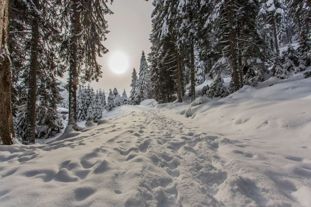 Top 5 Winter Salzburger Land